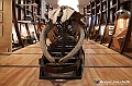 VBS_0932 - Riapre il Museo di Scienze Naturali dopo dieci anni di chiusura